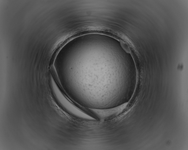 X0000091180930200708231525