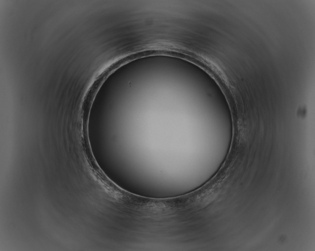 X0000091180931200708231525