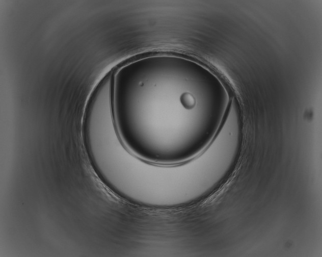 X0000091180932200708231525