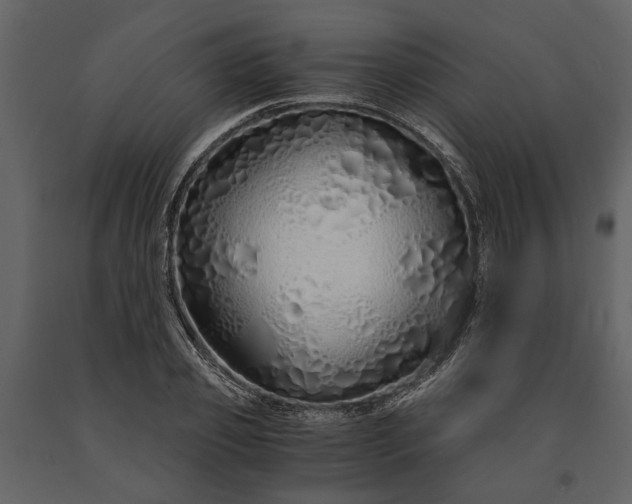 X0000091180933200708231525