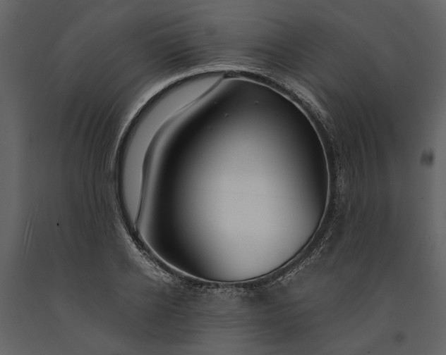 X0000091180934200708231525
