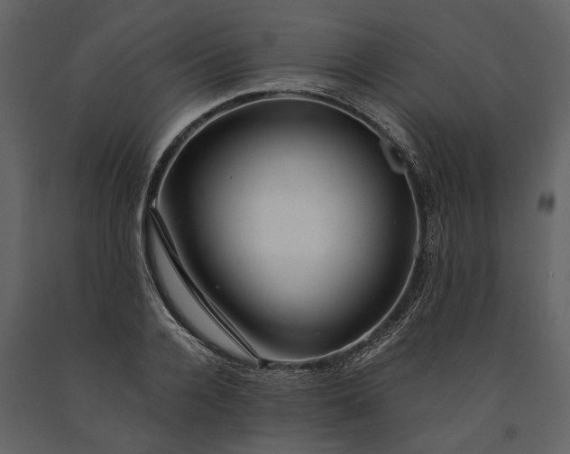 X0000091180936200708231526