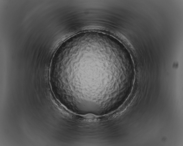 X0000091180937200708231526