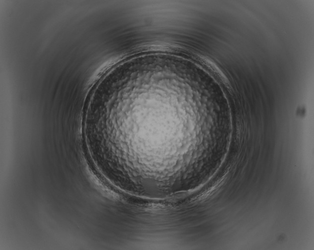 X0000091180938200708231526