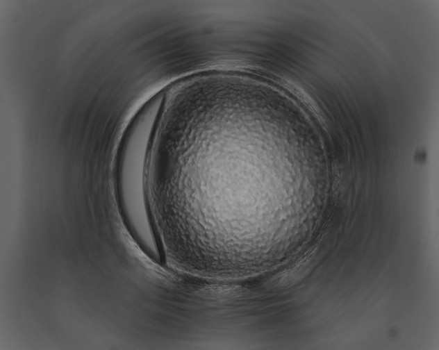 X0000091180939200708231526