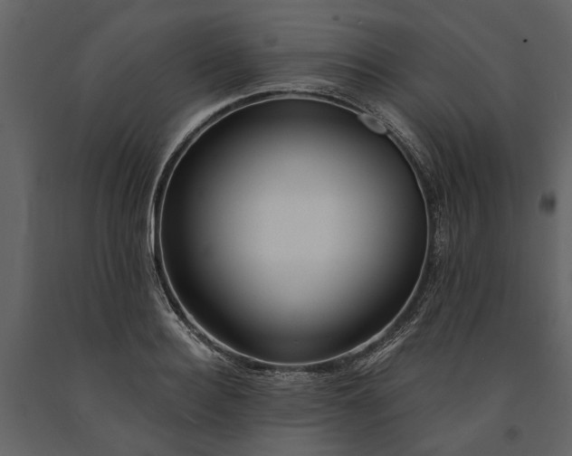 X0000091180940200708231526