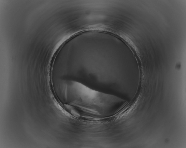 X0000091180941200708231526