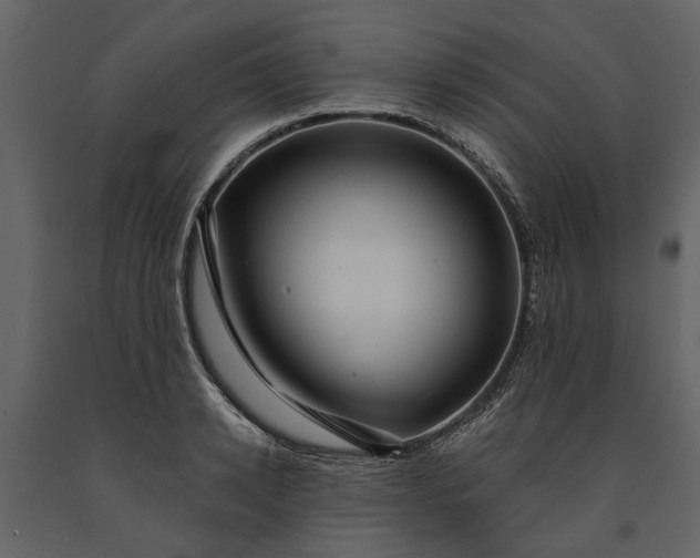 X0000091180942200708231526