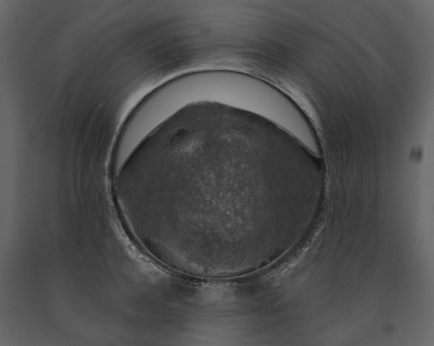 X0000091180944200708231526