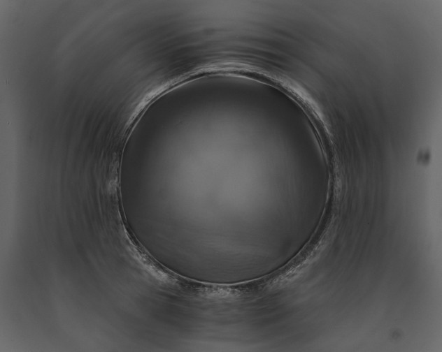 X0000091180945200708231526