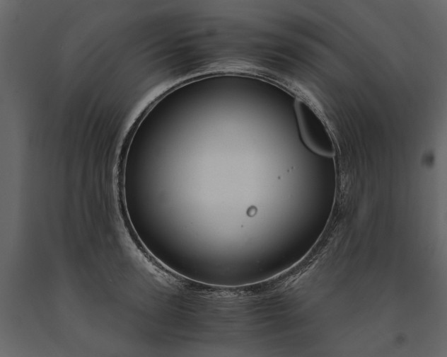X0000091180947200708231526
