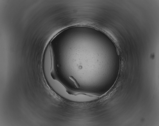 X0000091180948200708231526