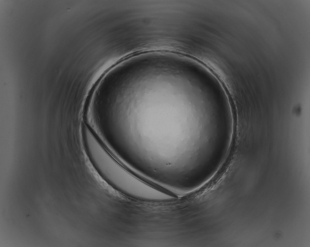 X0000091180949200708231526