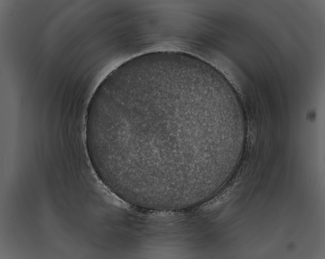 X0000091180950200708231526