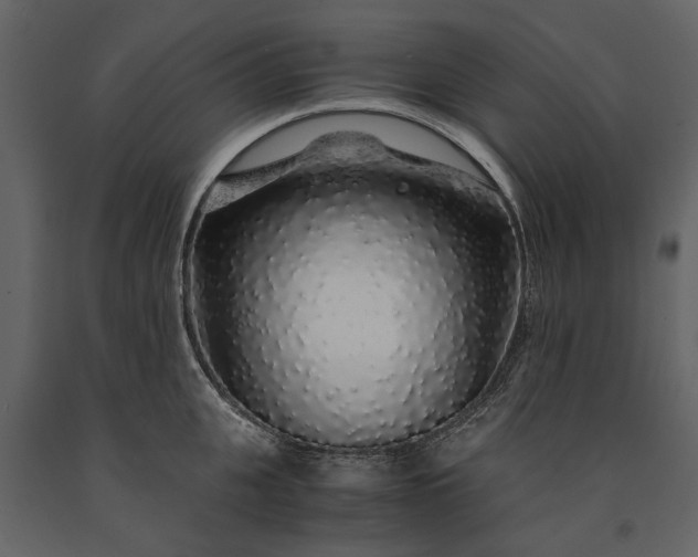 X0000091180951200708231526