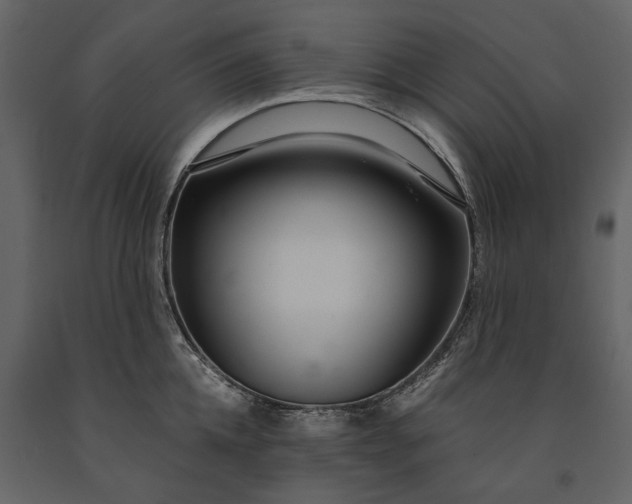 X0000091180952200708231526