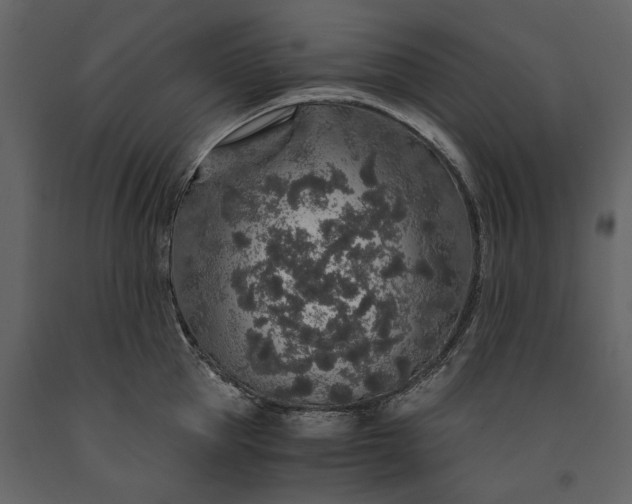 X0000091180953200708231526