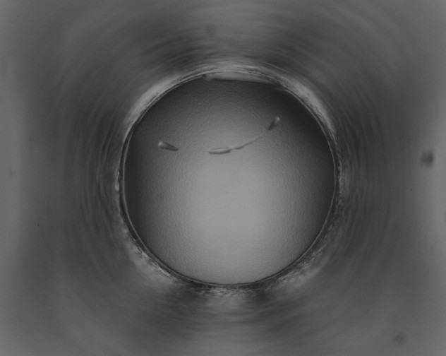 X0000091180954200708231526