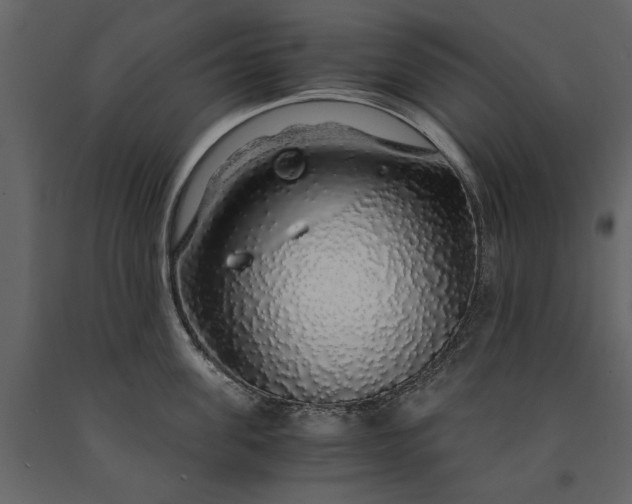 X0000091180955200708231526