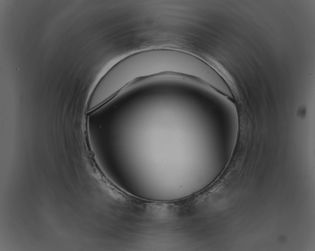 X0000091180956200708231526
