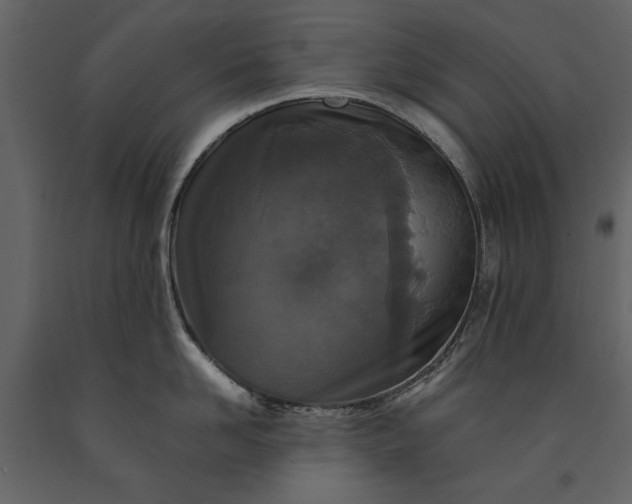 X0000091180958200708231526