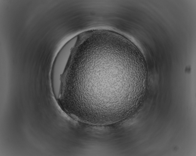 X0000091180959200708231526