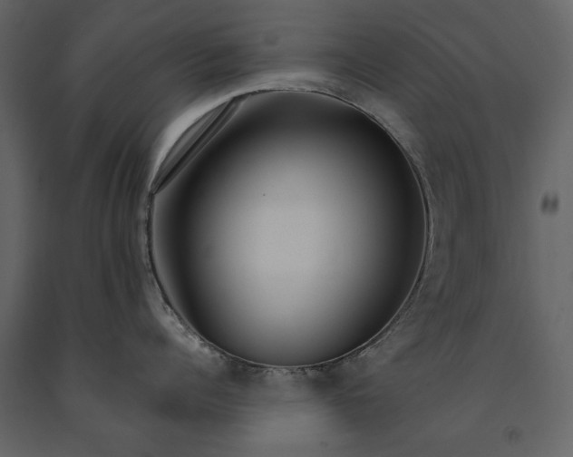 X0000091180960200708231526