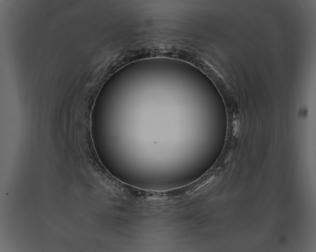 X0000091180961200708231525
