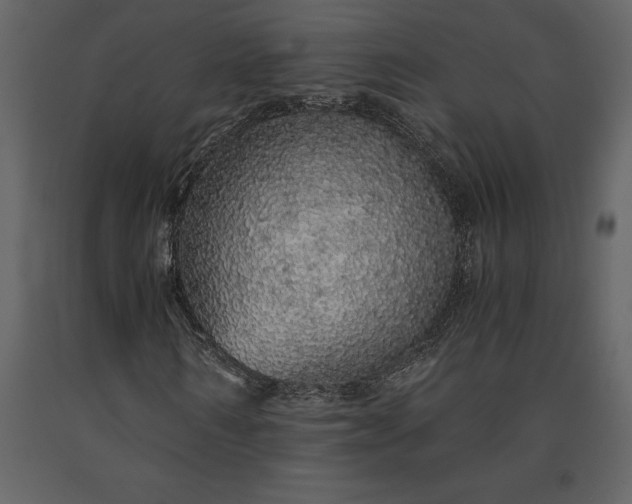 X0000091180962200708231525