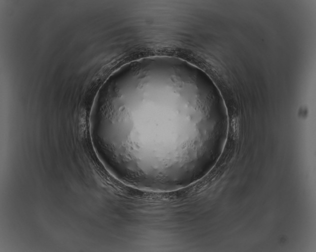 X0000091180963200708231525