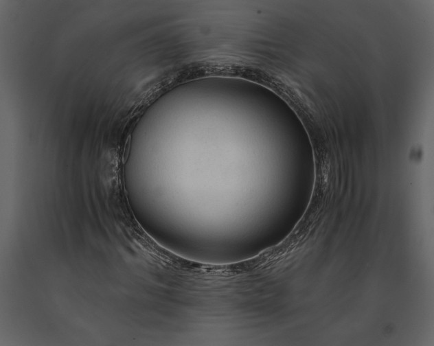 X0000091180964200708231525
