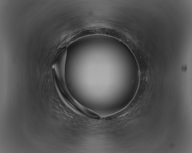 X0000091180965200708231525