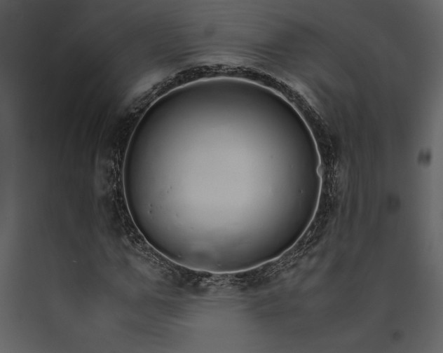 X0000091180967200708231525
