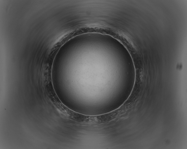 X0000091180968200708231525