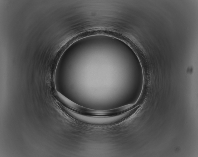 X0000091180969200708231525