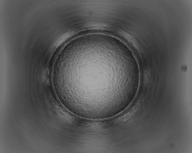 X0000091180970200708231525