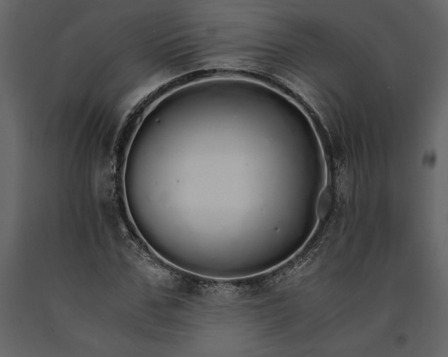 X0000091180971200708231525
