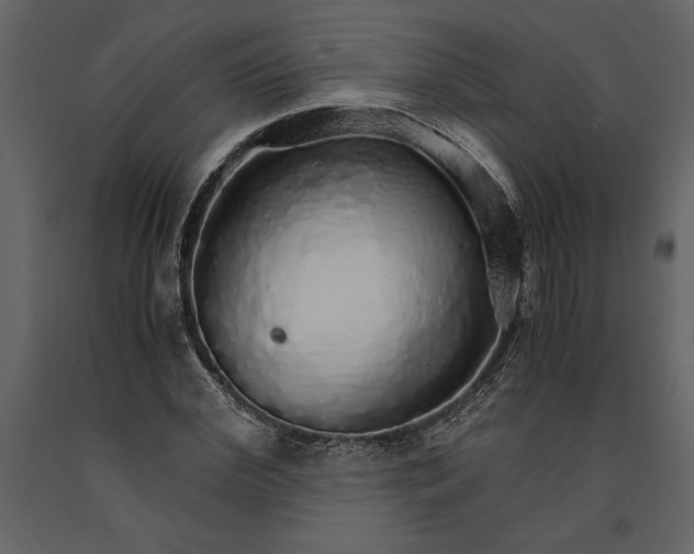X0000091180972200708231525