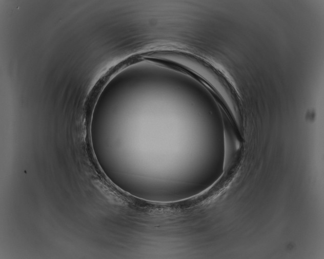 X0000091180973200708231525
