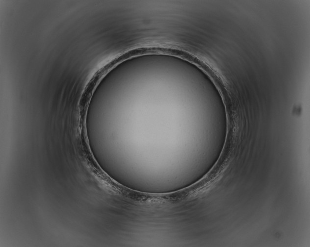 X0000091180974200708231525