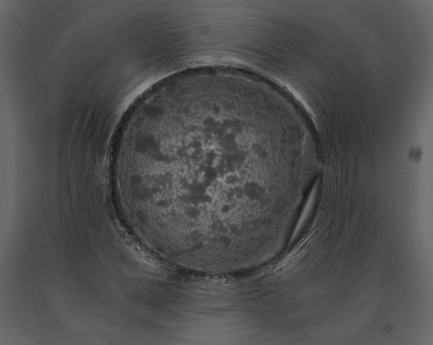 X0000091180975200708231525