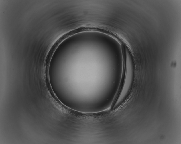 X0000091180976200708231525