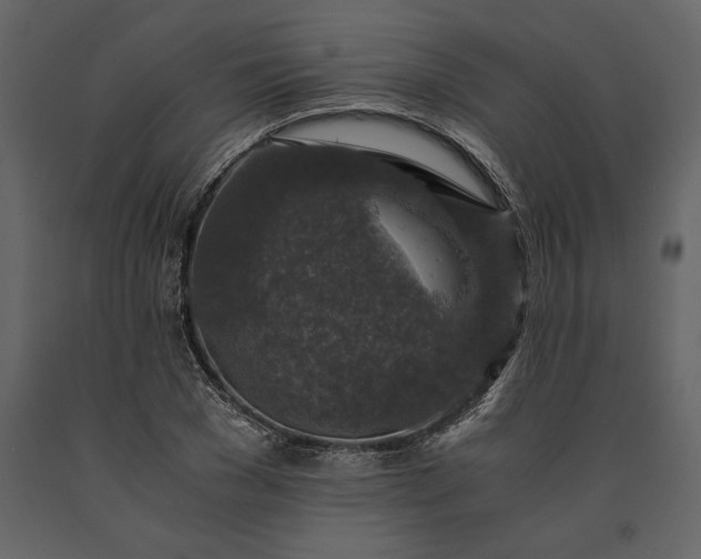 X0000091180977200708231525