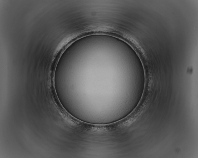 X0000091180978200708231525