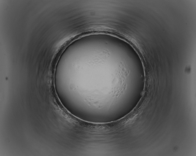 X0000091180979200708231525