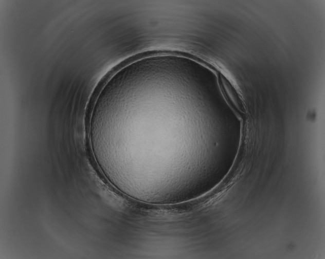 X0000091180980200708231525