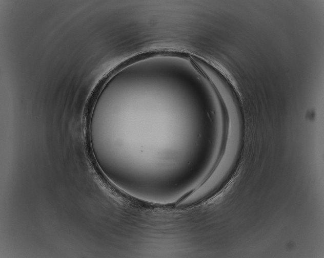 X0000091180981200708231525