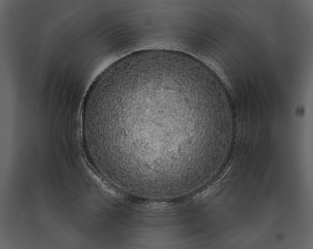 X0000091180982200708231525