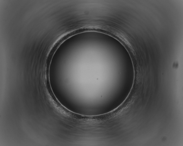 X0000091180984200708231525
