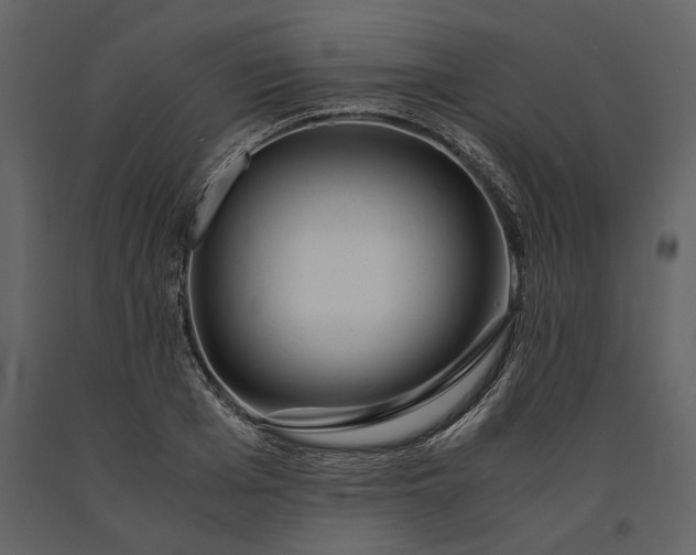 X0000091180985200708231525